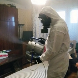 Дезинфекция от клопов в Новоржеве
